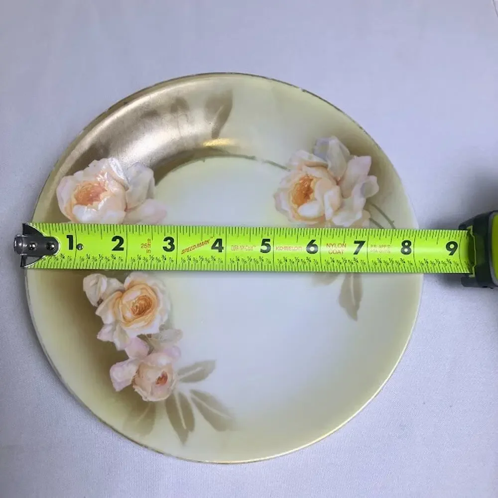 RS Tillowitz Silesia Gold Rim Cabinet Plate Hand Painted Roses Antique 8.25”